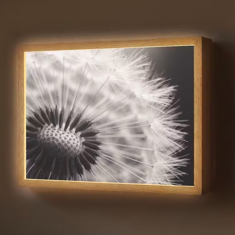 Paardenbloem - Zwart - Wit Light Box met batterij (Wandlamp) middel -z3d_website