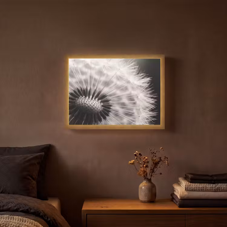 Paardenbloem - Zwart - Wit Light Box met batterij (Wandlamp) middel -sfeer4