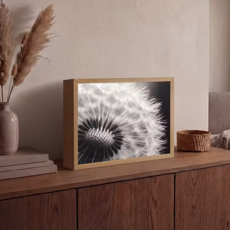 Paardenbloem - Zwart - Wit Light Box met batterij (Wandlamp) middel -sfeer2