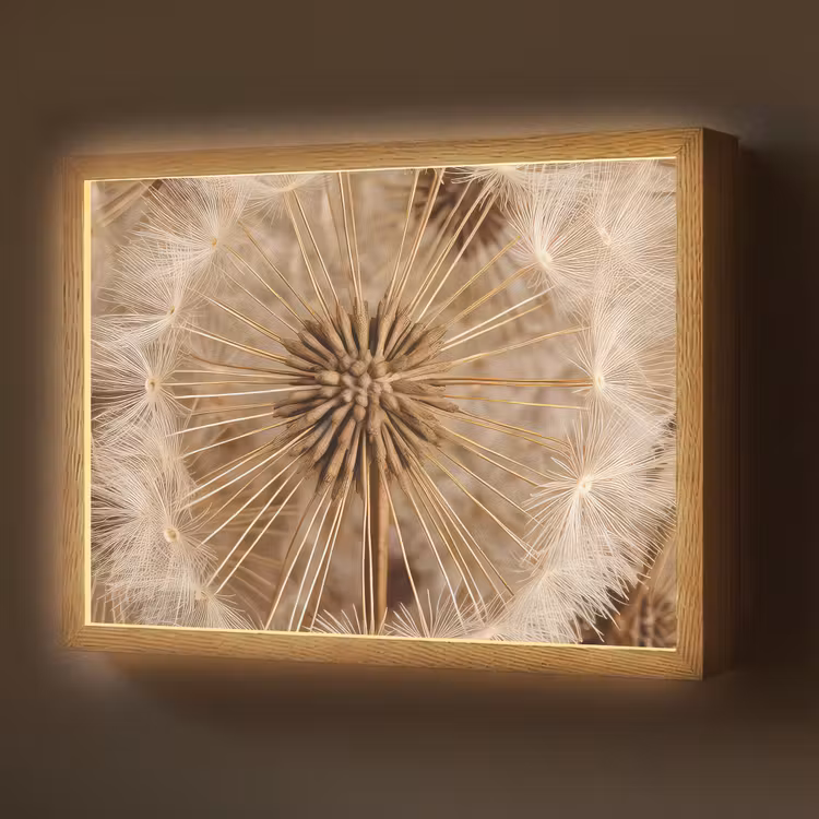 Paardenbloem - Bloemen - Natuur - Bruin Light Box met batterij (Wandlamp) middel -z3d_website