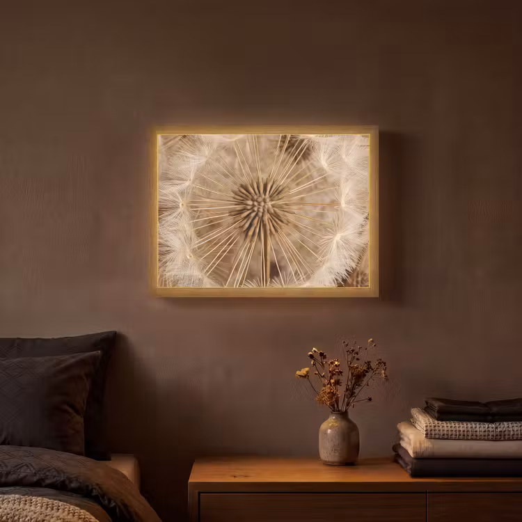 Paardenbloem - Bloemen - Natuur - Bruin Light Box met batterij (Wandlamp) middel -sfeer4