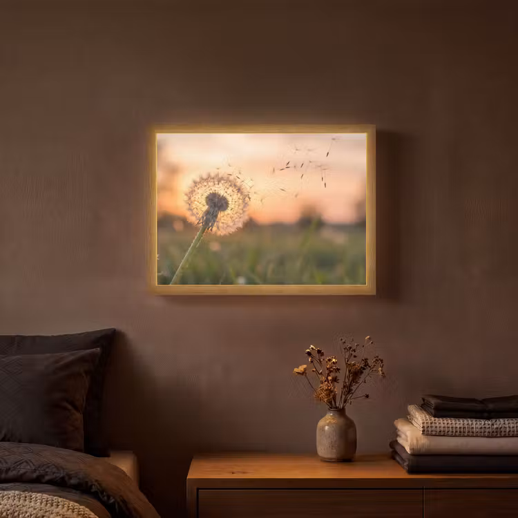 Paardenbloem - Zonsondergang - Veld Light Box met batterij (Wandlamp) middel -sfeer4