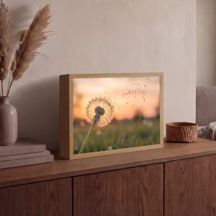 Paardenbloem - Zonsondergang - Veld Light Box met batterij (Wandlamp) middel -sfeer2