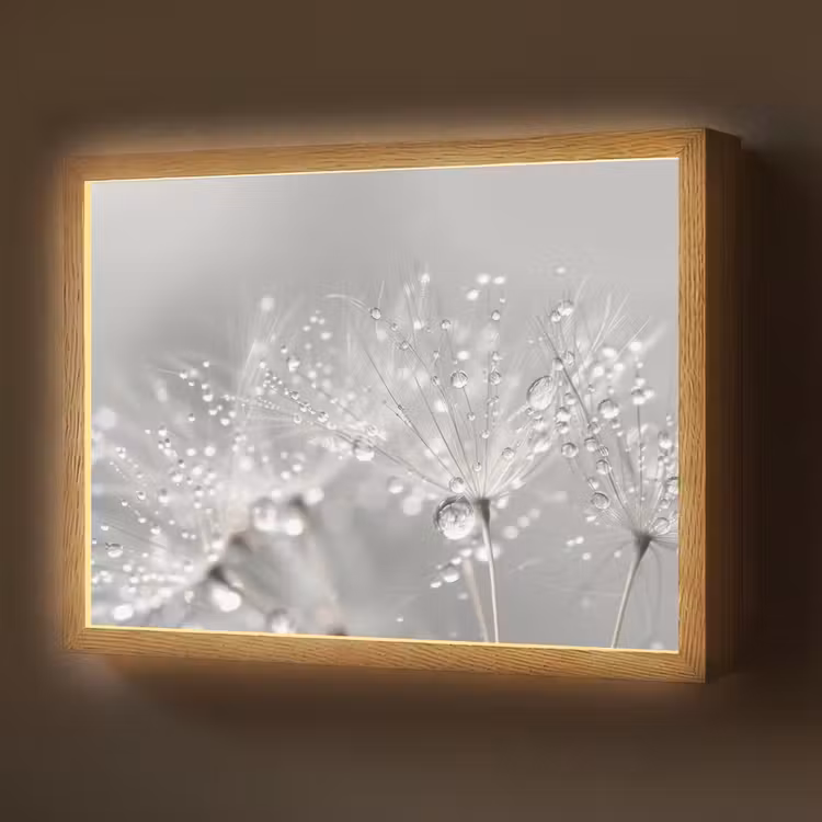 Paardenbloem - Waterdruppels - Stilleven - Modern Light Box met batterij (Wandlamp) middel -z3d_website