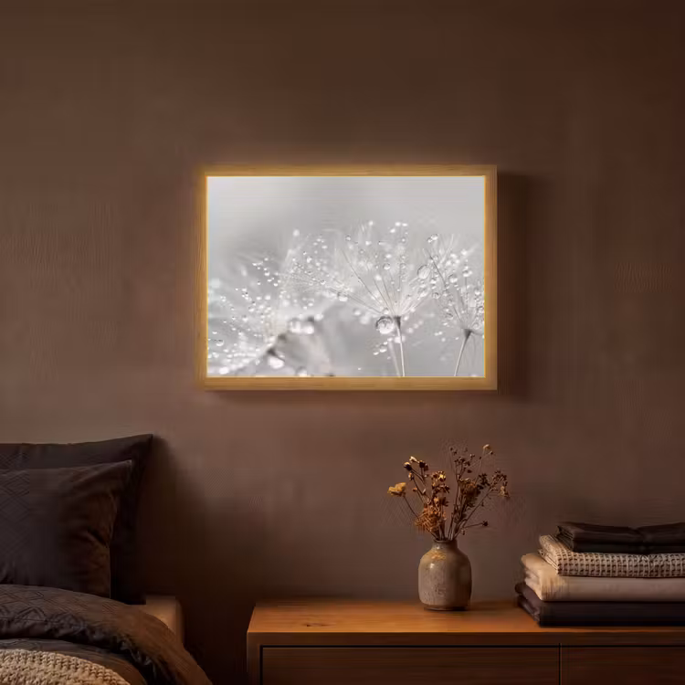 Paardenbloem - Waterdruppels - Stilleven - Modern Light Box met batterij (Wandlamp) middel -sfeer4