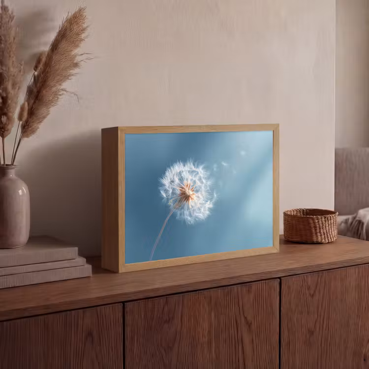 Paardenbloem - Wind - Blauw Light Box met batterij (Wandlamp) middel -sfeer2