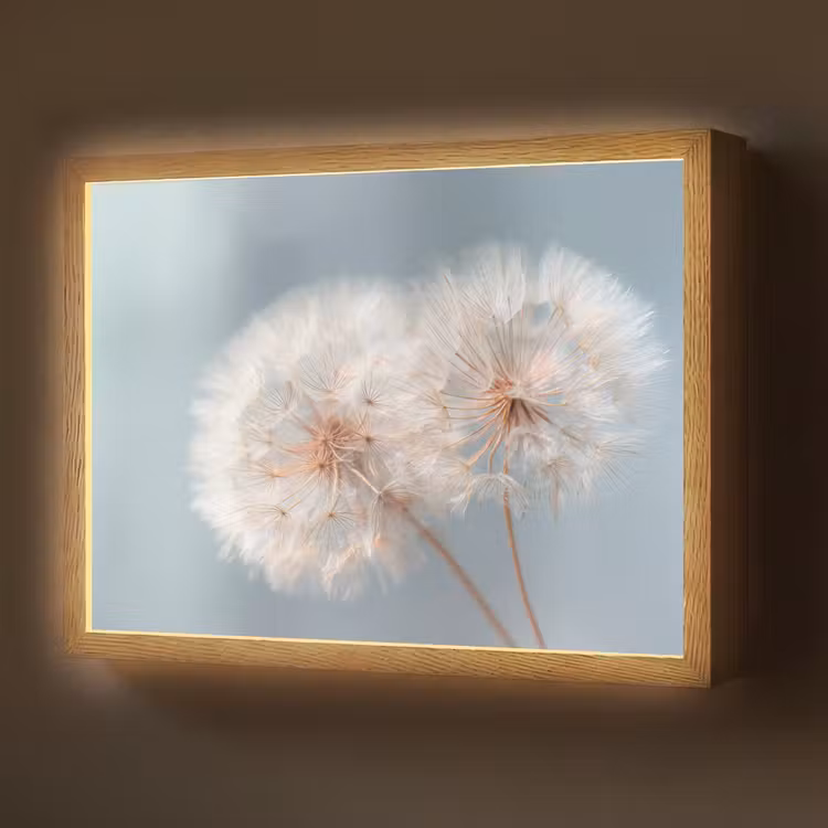 Paardenbloemen - Pluisjes - Wit Light Box met batterij (Wandlamp) middel -z3d_website