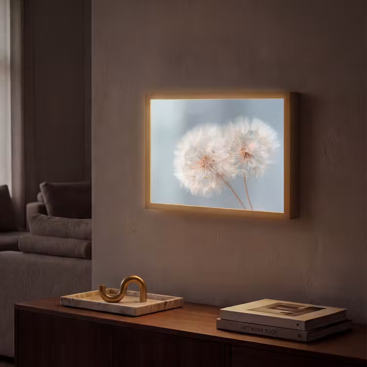 Paardenbloemen - Pluisjes - Wit Light Box met batterij (Wandlamp) middel -sfeer1