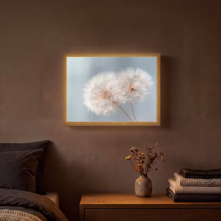Paardenbloemen - Pluisjes - Wit Light Box met batterij (Wandlamp) middel -sfeer4