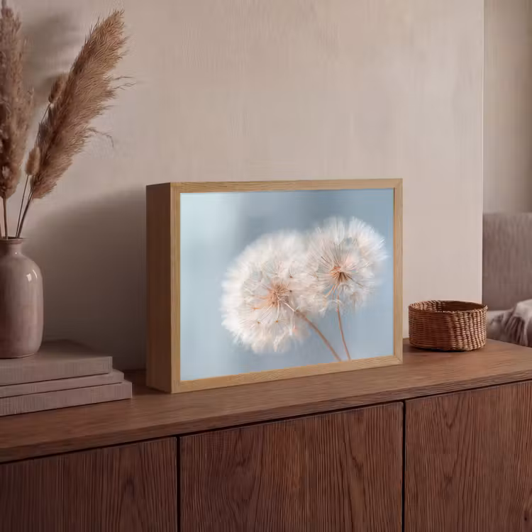Paardenbloemen - Pluisjes - Wit Light Box met batterij (Wandlamp) middel -sfeer2