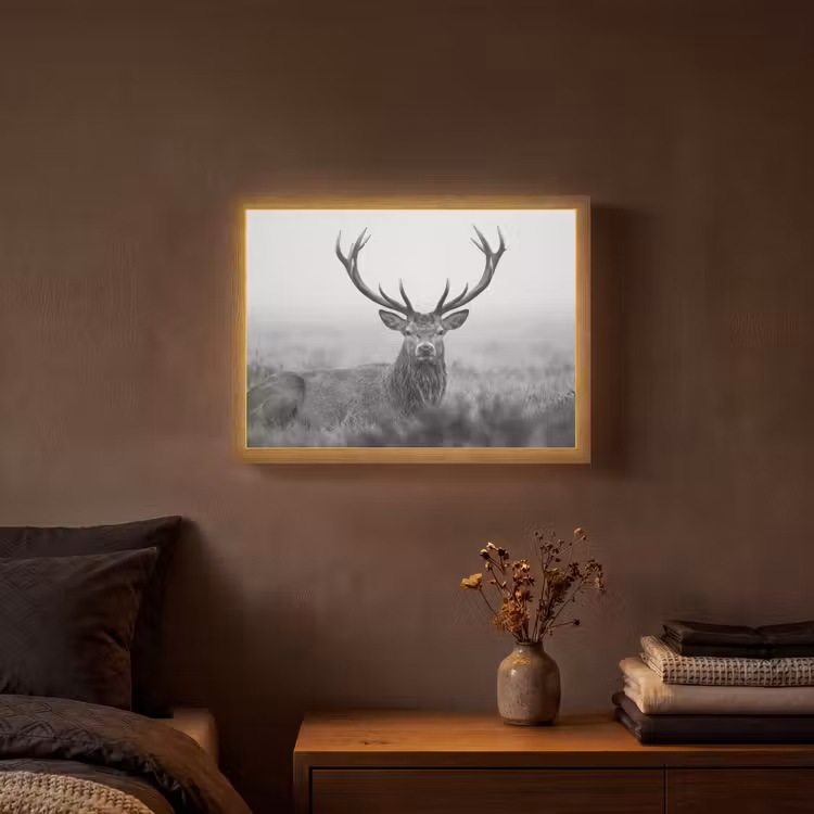 Hert - Mistig - Zwart - Wit Light Box met batterij (Wandlamp) middel -sfeer4