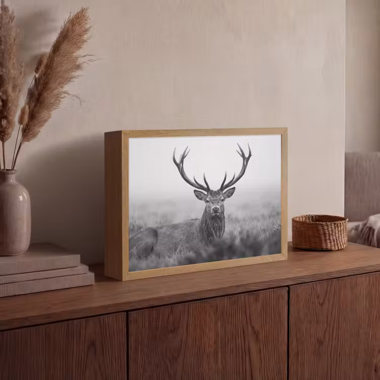 Hert - Mistig - Zwart - Wit Light Box met batterij (Wandlamp) middel -sfeer2
