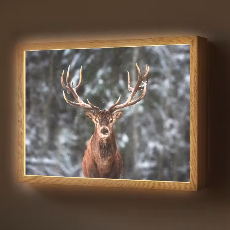 Hert - Winter - Sneeuw - Bos - Natuur - Dier Light Box met batterij (Wandlamp) middel -z3d_website