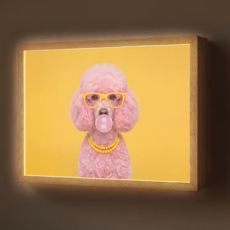 Hond - Kauwgum - Dieren - Modern - Roze Light Box met batterij (Wandlamp) middel -z3d_website