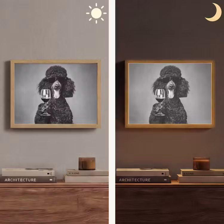 Hond - Krullen - Zonnebril - Wijn Light Box met batterij (Wandlamp) middel -sfeer3