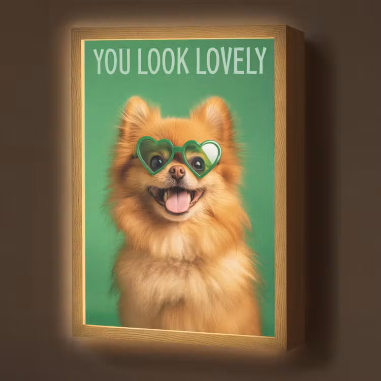 Hond - Zonnebril - Valentijn - Love Light Box met batterij (Wandlamp) middel -z3d_website