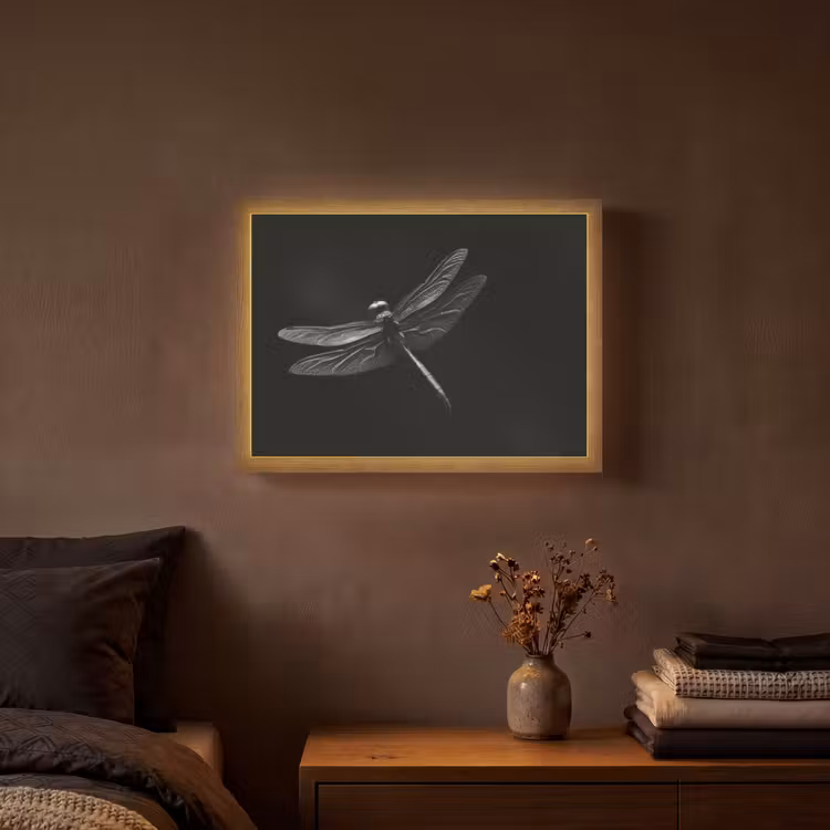 Libelle - Dieren - Zwart - Insect Light Box met batterij (Wandlamp) middel -sfeer4