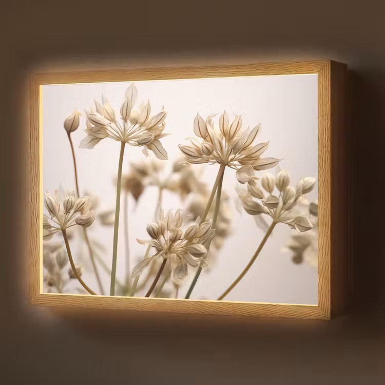 Droogbloemen - Beige - Wit - Planten Light Box met batterij (Wandlamp) middel -z3d_website