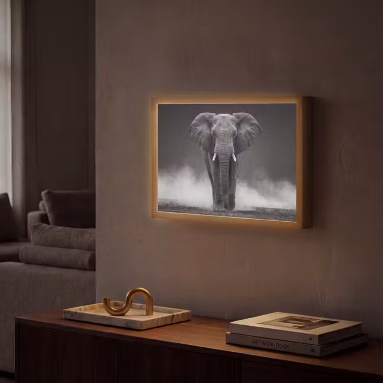 Olifant - Zwart - Wit - Rook Light Box met batterij (Wandlamp) middel -sfeer1
