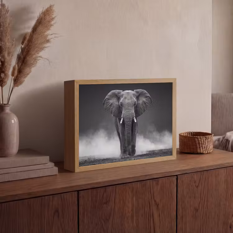 Olifant - Zwart - Wit - Rook Light Box met batterij (Wandlamp) middel -sfeer2