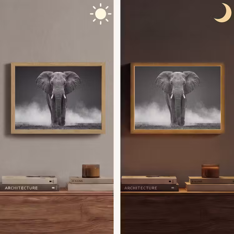 Olifant - Zwart - Wit - Rook Light Box met batterij (Wandlamp) middel -sfeer3