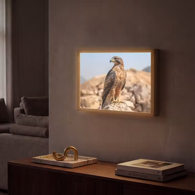 Valk - Vogel - Rots - Macht Light Box met batterij (Wandlamp) middel -sfeer1