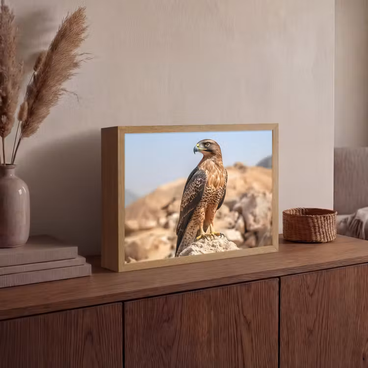 Valk - Vogel - Rots - Macht Light Box met batterij (Wandlamp) middel -sfeer2