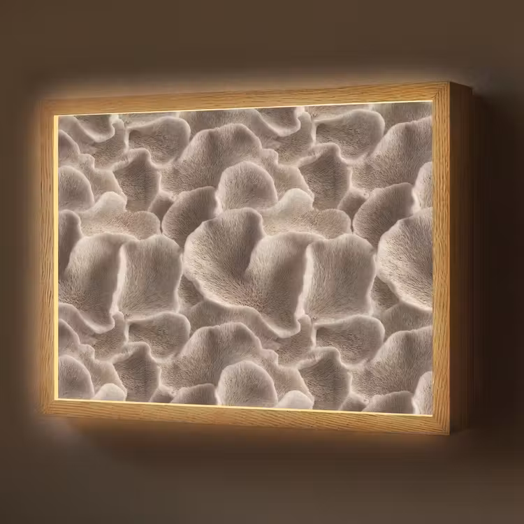 Waaiervorm - Beige - Vezel textuur Light Box met batterij (Wandlamp) middel 907 -z3d_website