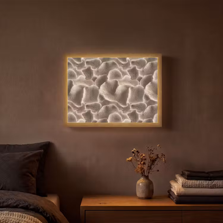 Waaiervorm - Beige - Vezel textuur Light Box met batterij (Wandlamp) middel 907 -sfeer4