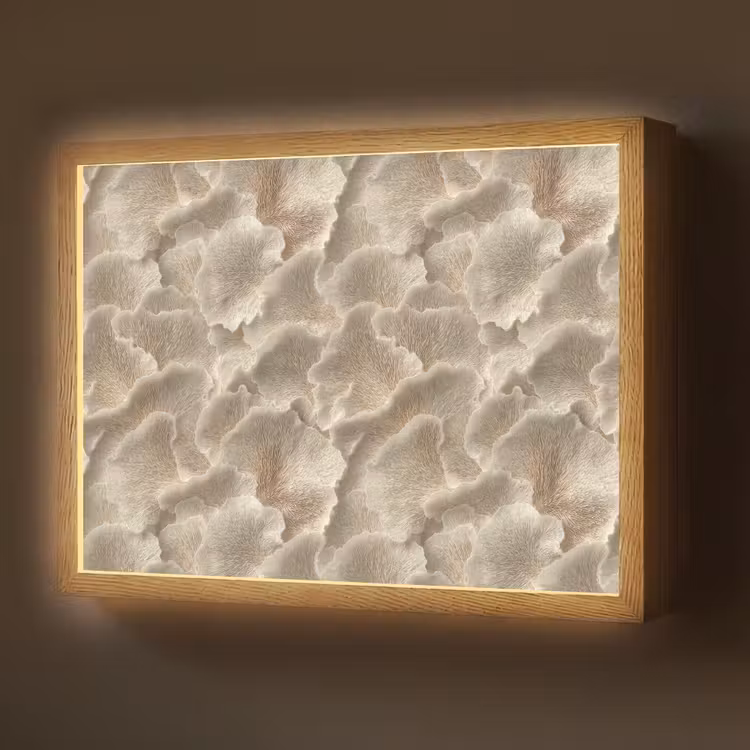 Waaierstructuren - Beige - Vezeltextuur Light Box met batterij (Wandlamp) middel 907 -z3d_website