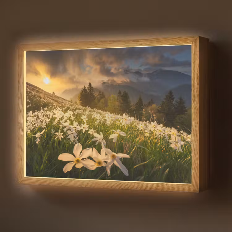 Bloemenveld - Heuvels - Zonsondergang - Berg - Natuur - Wit - Heuvels Light Box met batterij (Wandlamp) middel -z3d_website