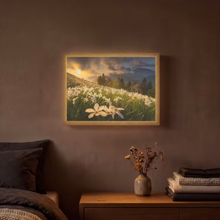 Bloemenveld - Heuvels - Zonsondergang - Berg - Natuur - Wit - Heuvels Light Box met batterij (Wandlamp) middel -sfeer4