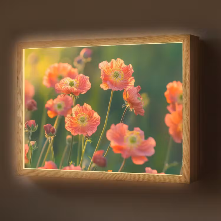 Bloemenveld - Zonnestralen - Oranje Light Box met batterij (Wandlamp) middel -z3d_website