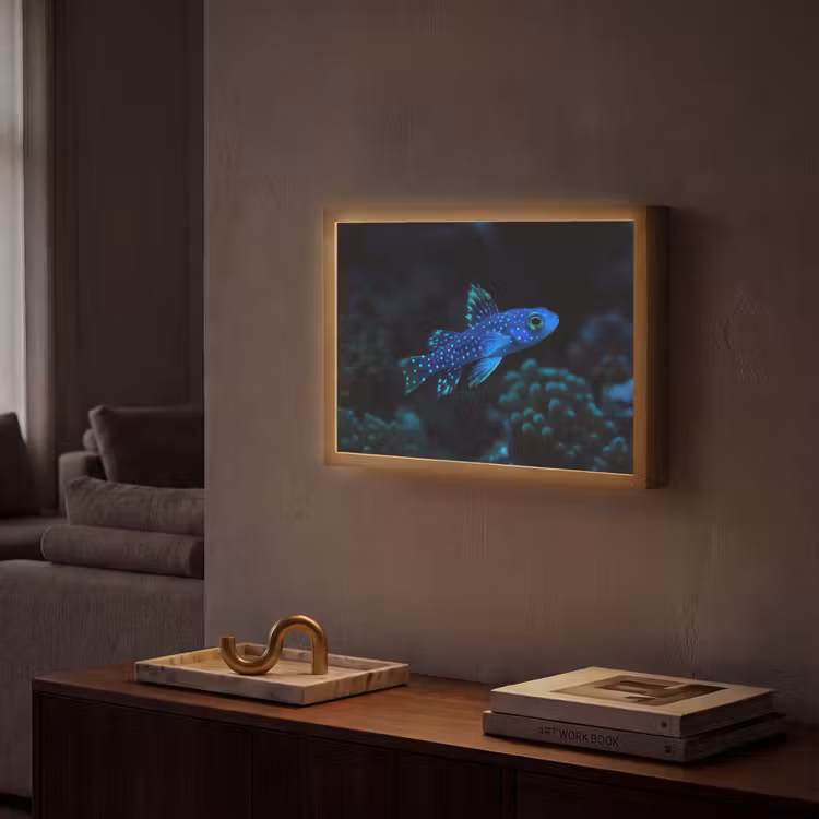 Vis - Stippen - Koraal - Blauw Light Box met batterij (Wandlamp) middel -sfeer1
