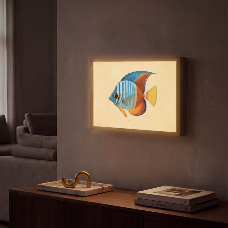 Vis - Vinnen - Blauw - Ogen Light Box met batterij (Wandlamp) middel -sfeer1