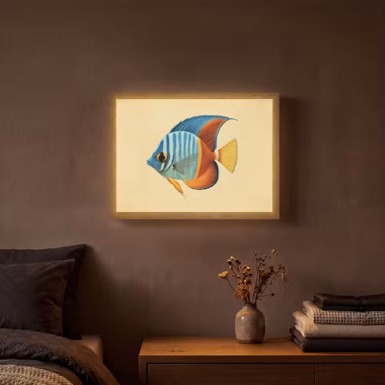 Vis - Vinnen - Blauw - Ogen Light Box met batterij (Wandlamp) middel -sfeer4