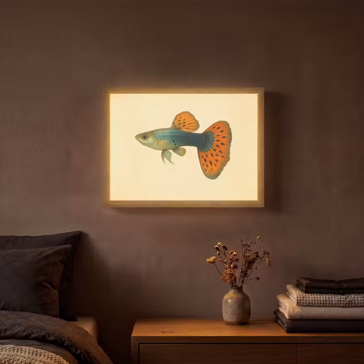 Vis - illustratie - Stippen - Oranje Light Box met batterij (Wandlamp) middel -sfeer4