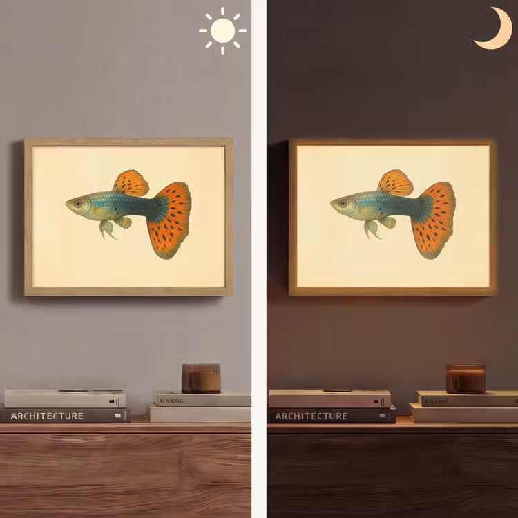 Vis - illustratie - Stippen - Oranje Light Box met batterij (Wandlamp) middel -sfeer3