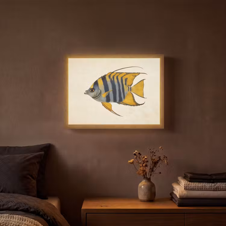 Vis - Sierlijk - Vinnen - Illustratie Light Box met batterij (Wandlamp) middel -sfeer4