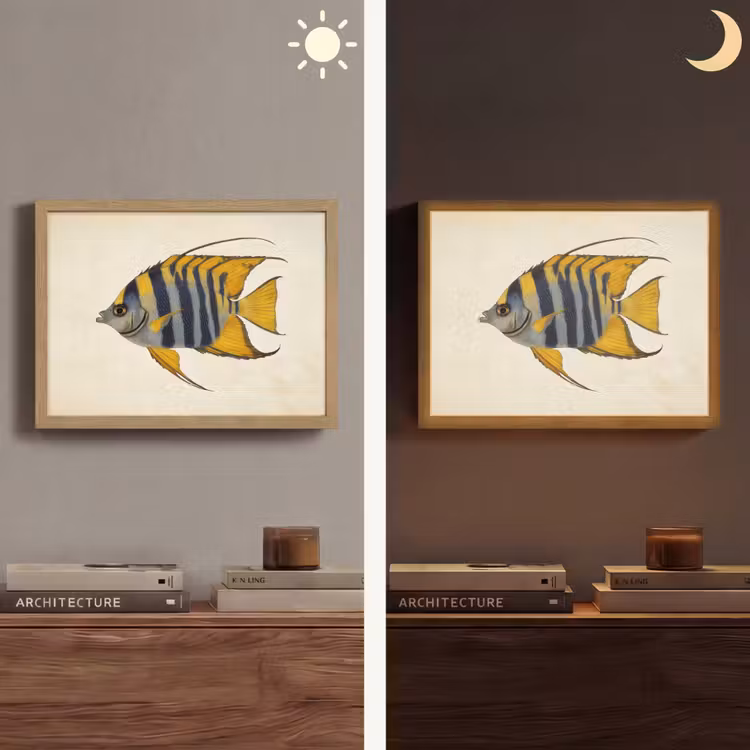 Vis - Sierlijk - Vinnen - Illustratie Light Box met batterij (Wandlamp) middel -sfeer3