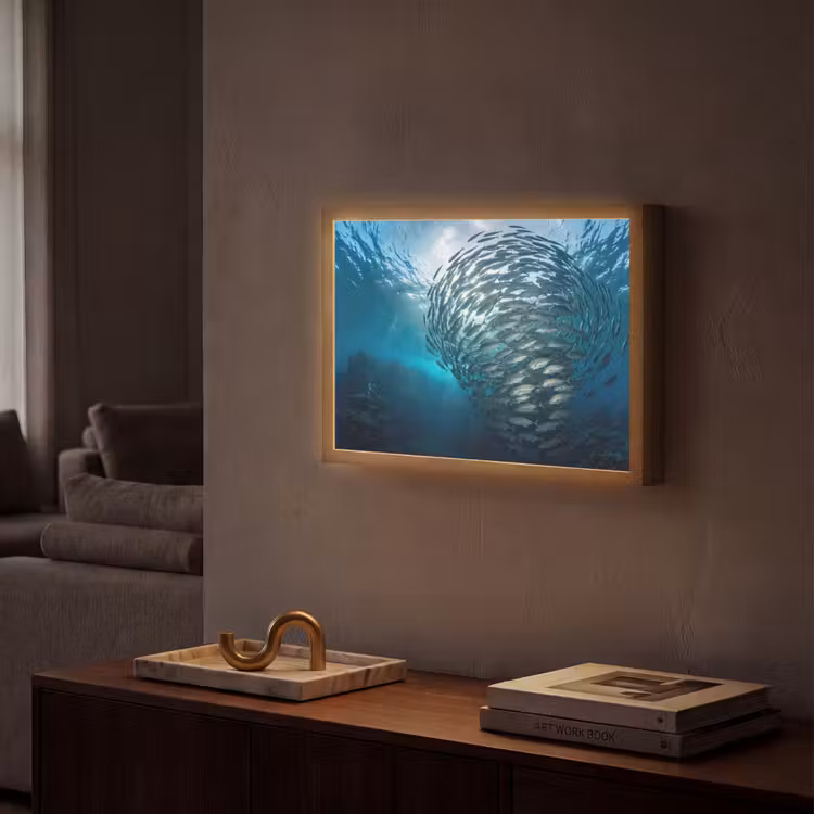 Vis - School - Oceaan - Natuur - Blauw Light Box met batterij (Wandlamp) middel -sfeer1