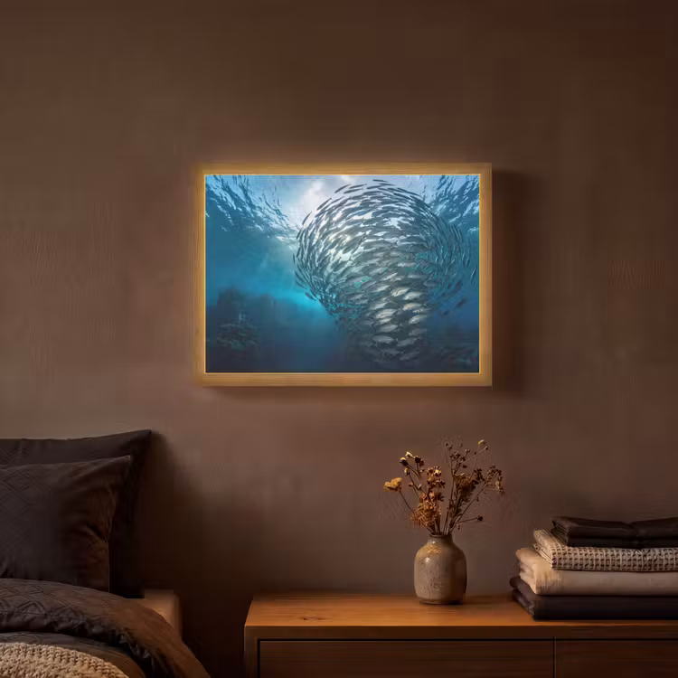 Vis - School - Oceaan - Natuur - Blauw Light Box met batterij (Wandlamp) middel -sfeer4