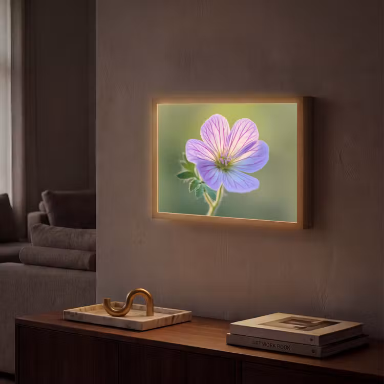 Bloem - Close up - Paars Light Box met batterij (Wandlamp) middel -sfeer1