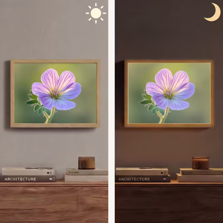 Bloem - Close up - Paars Light Box met batterij (Wandlamp) middel -sfeer3