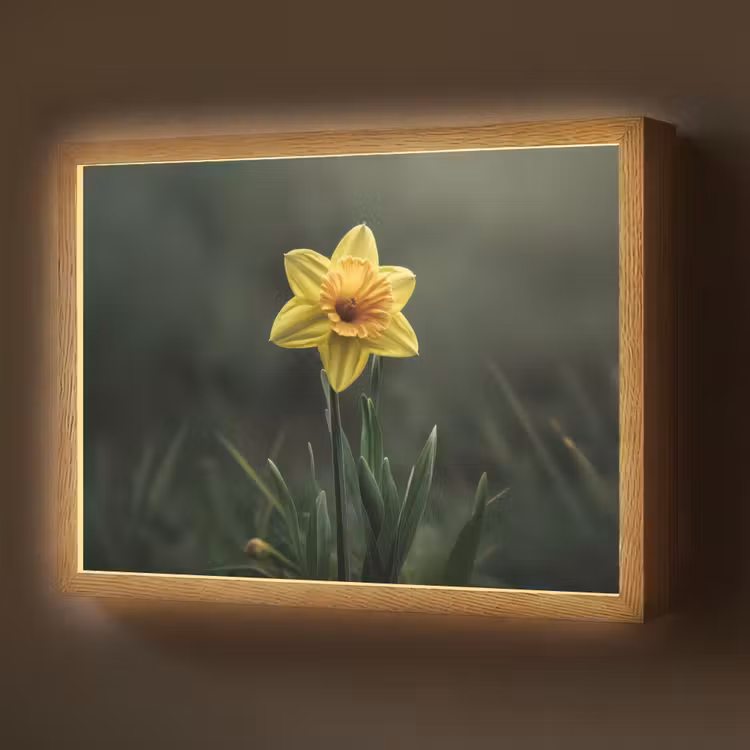 Bloem - Narcis - Gras - Geel Light Box met batterij (Wandlamp) middel -z3d_website