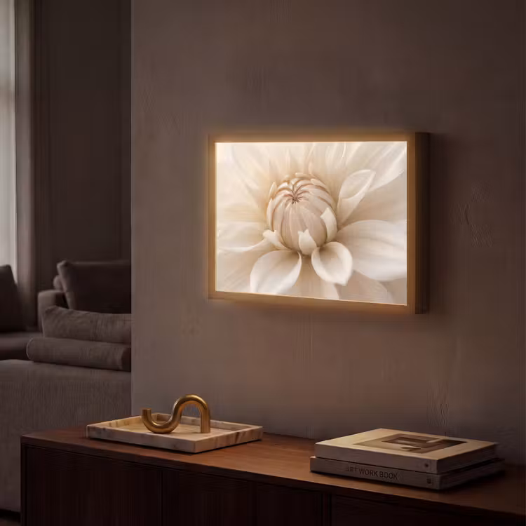 Bloem - Dahlia - Wit Light Box met batterij (Wandlamp) middel -sfeer1