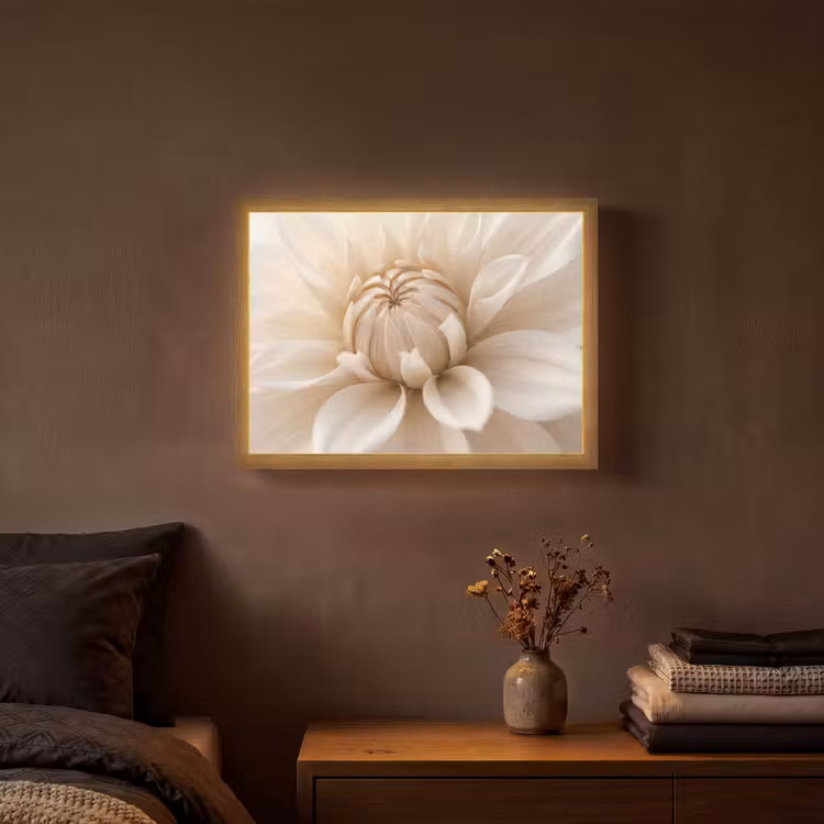 Bloem - Dahlia - Wit Light Box met batterij (Wandlamp) middel -sfeer4