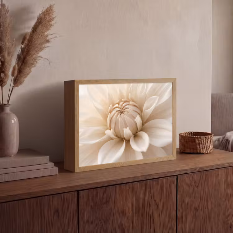 Bloem - Dahlia - Wit Light Box met batterij (Wandlamp) middel -sfeer2