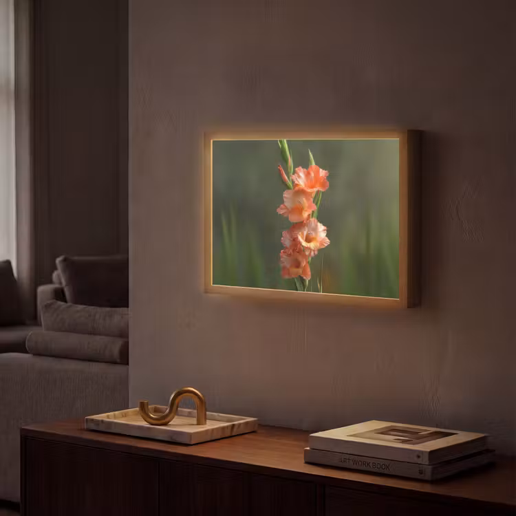 Bloem - Gladiolen - Zalmroze Light Box met batterij (Wandlamp) middel -sfeer1
