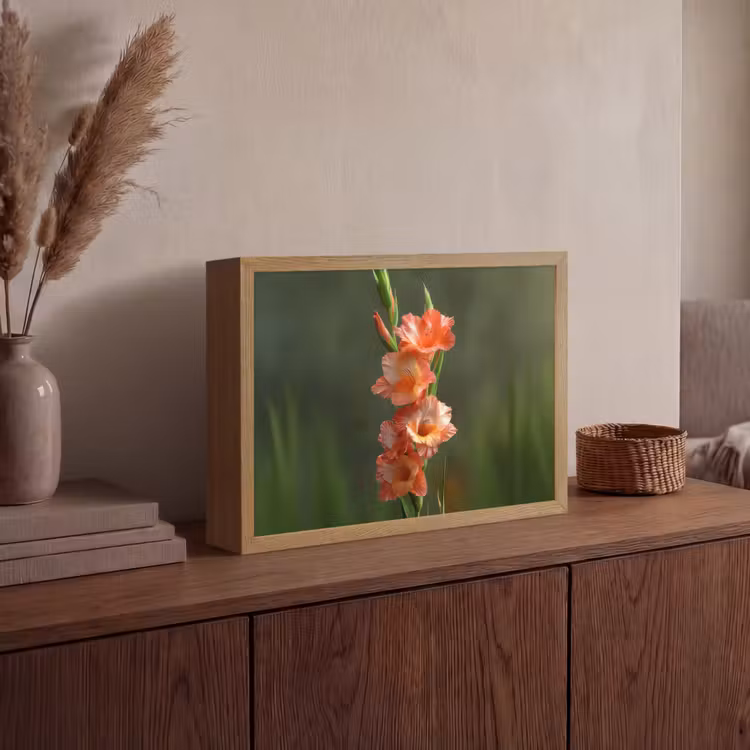 Bloem - Gladiolen - Zalmroze Light Box met batterij (Wandlamp) middel -sfeer2